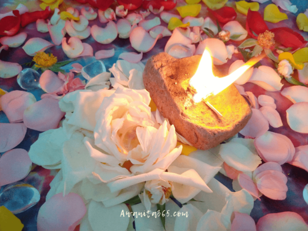 Awanita's Blog
