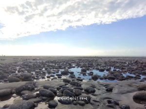 awanita-blog 