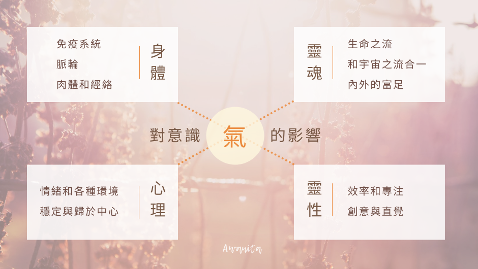 Awanita - 阿法氣風水