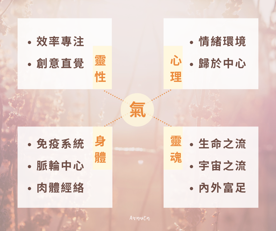 Awanita365 Awanita - 阿法氣風水