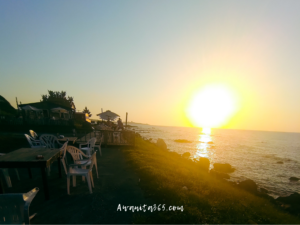 awanita-blog 