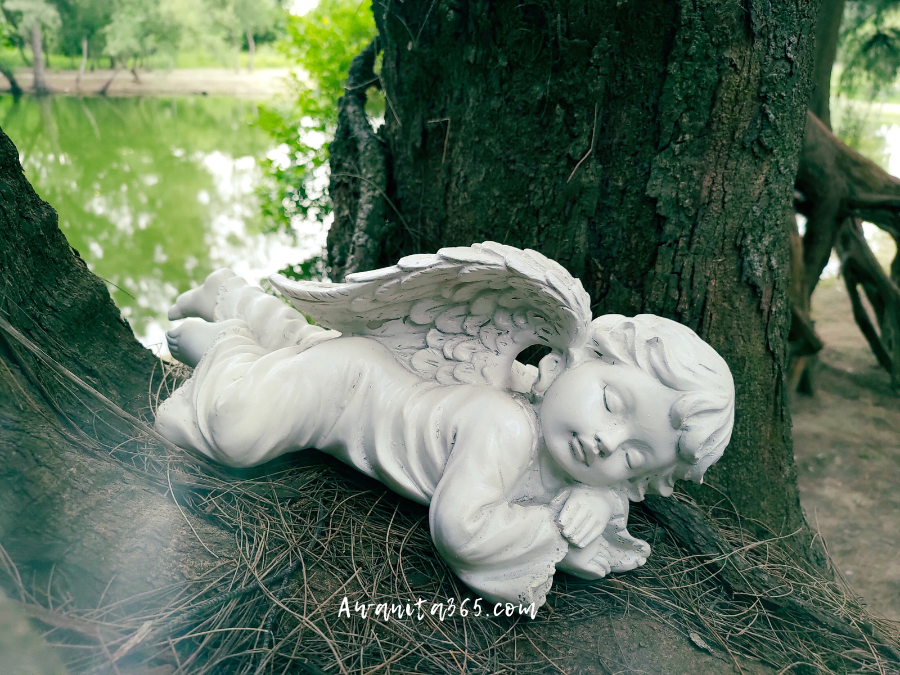 Awanita-blog 