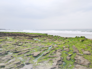 awanita-blog 
