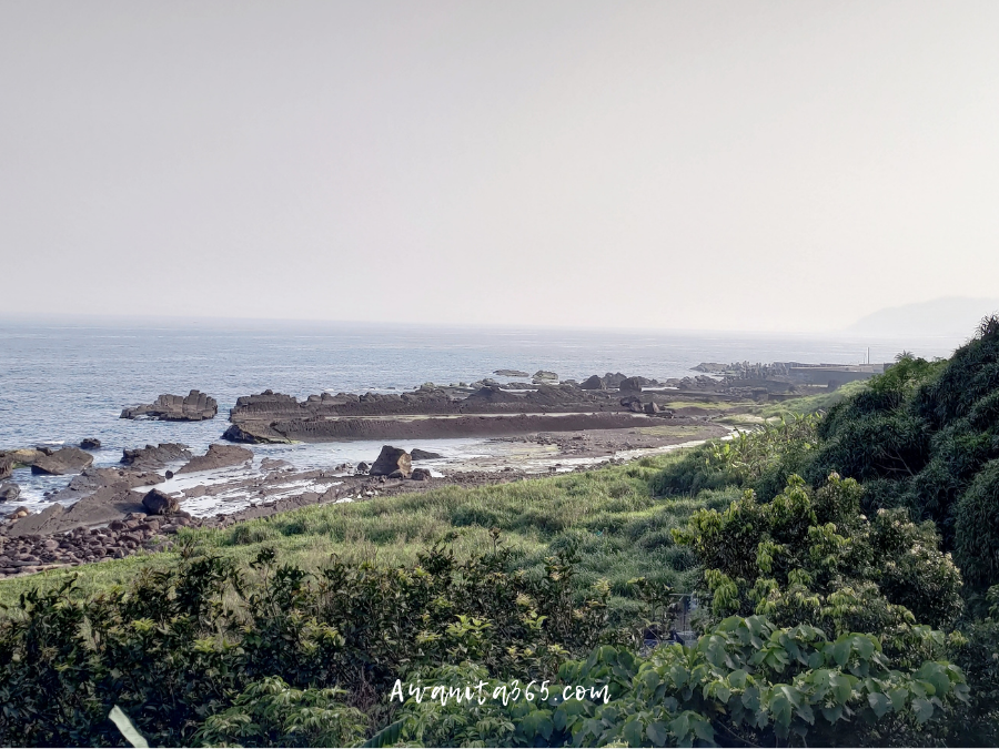 awanita-blog