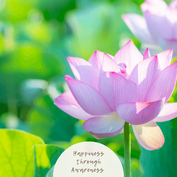 Awanita │瑪哈蓮花療癒