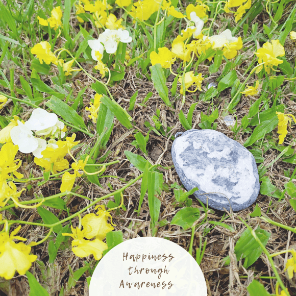 Awanita │和平之光點化